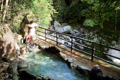 Sansuikan (花の里温泉 山水館)