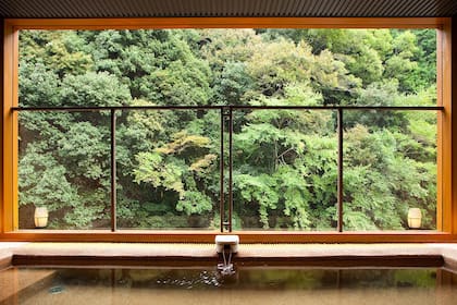 Sansuikan (花の里温泉 山水館)