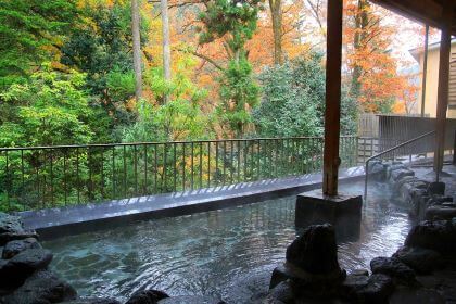 Akigawa Keikoku Seoto-no-Yu Spa (秋川渓谷 瀬音の湯)
