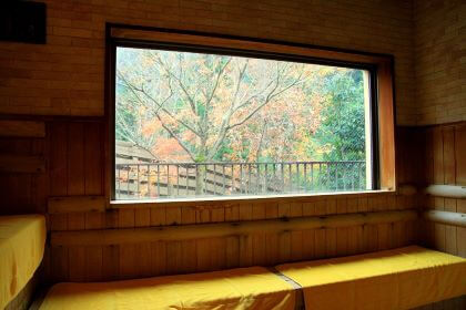 Akigawa Keikoku Seoto-no-Yu Spa (秋川渓谷 瀬音の湯)