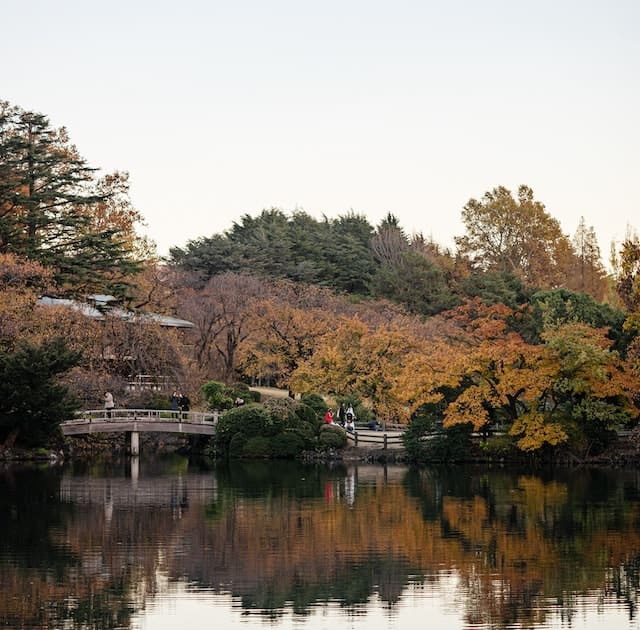 Shinjuku Gyoen National Garden