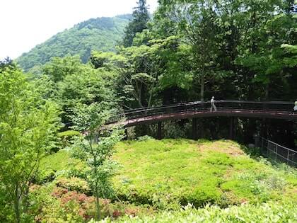 Enjoy the nature of Hakone