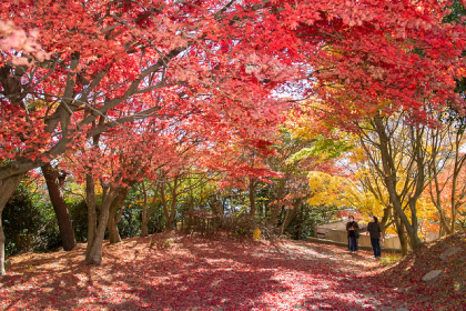 Takachiho