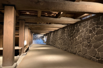 the dark passage