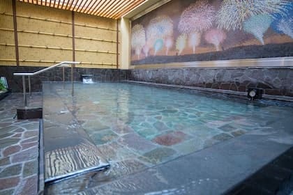 Thermae Yu (テルマー湯)