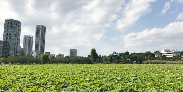Ueno Park