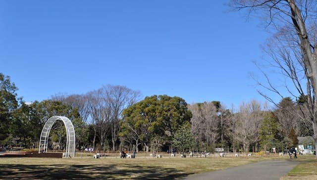 Yoyogi Park
