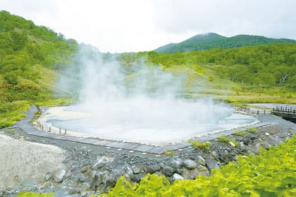 Yukichichibu Onsen (蘭越町交流促進センター雪秩父)