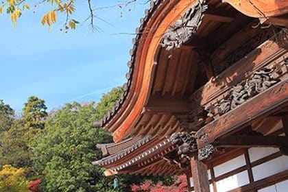 Onsen Yumorinosato (深大寺天然温泉 湯守の里)